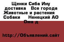 Щенки Сиба Ину доставка - Все города Животные и растения » Собаки   . Ненецкий АО,Ома д.
